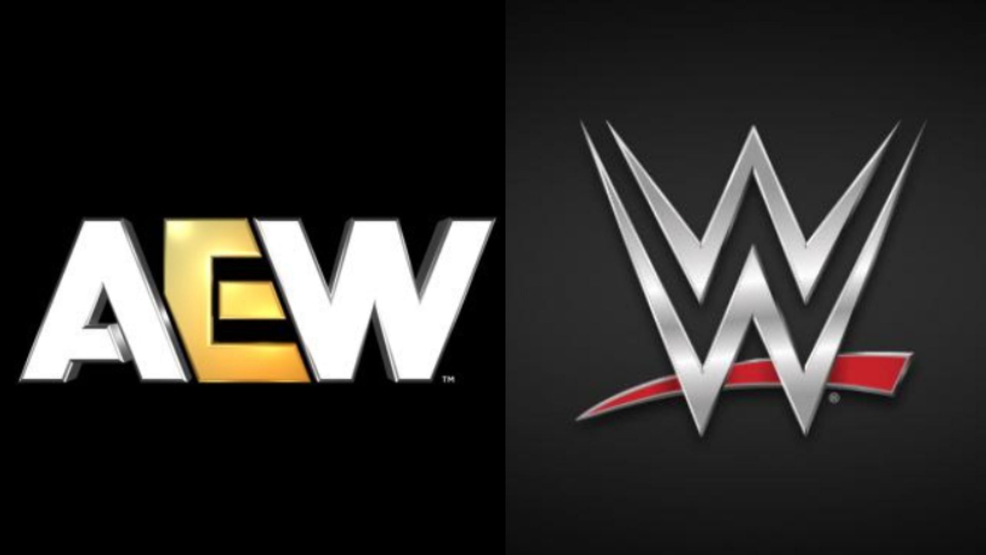 AEW and WWE are two leading wrestling promotions in the US [Image Credits: WWE