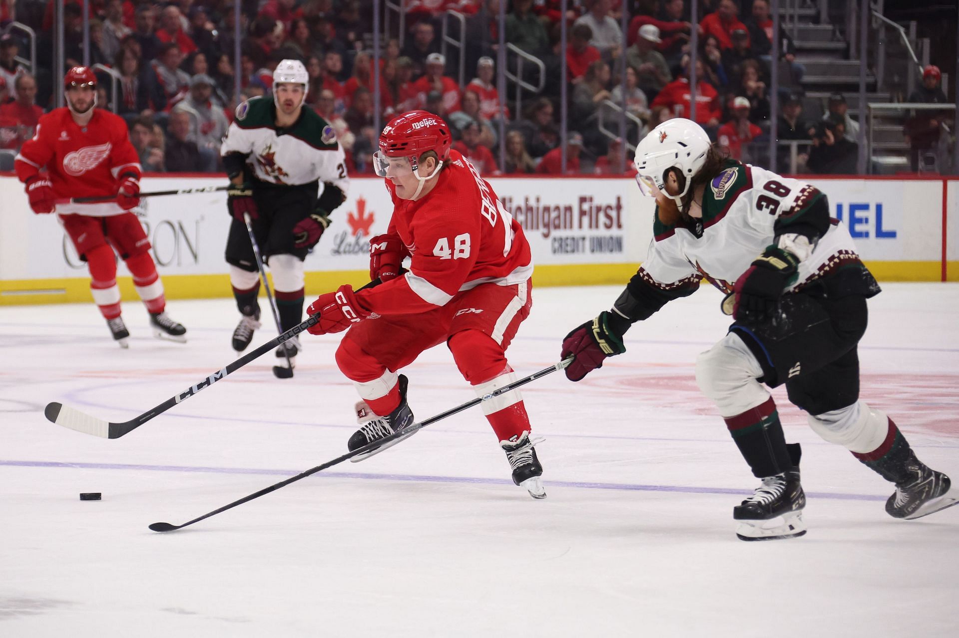 Coyotes v Red Wings