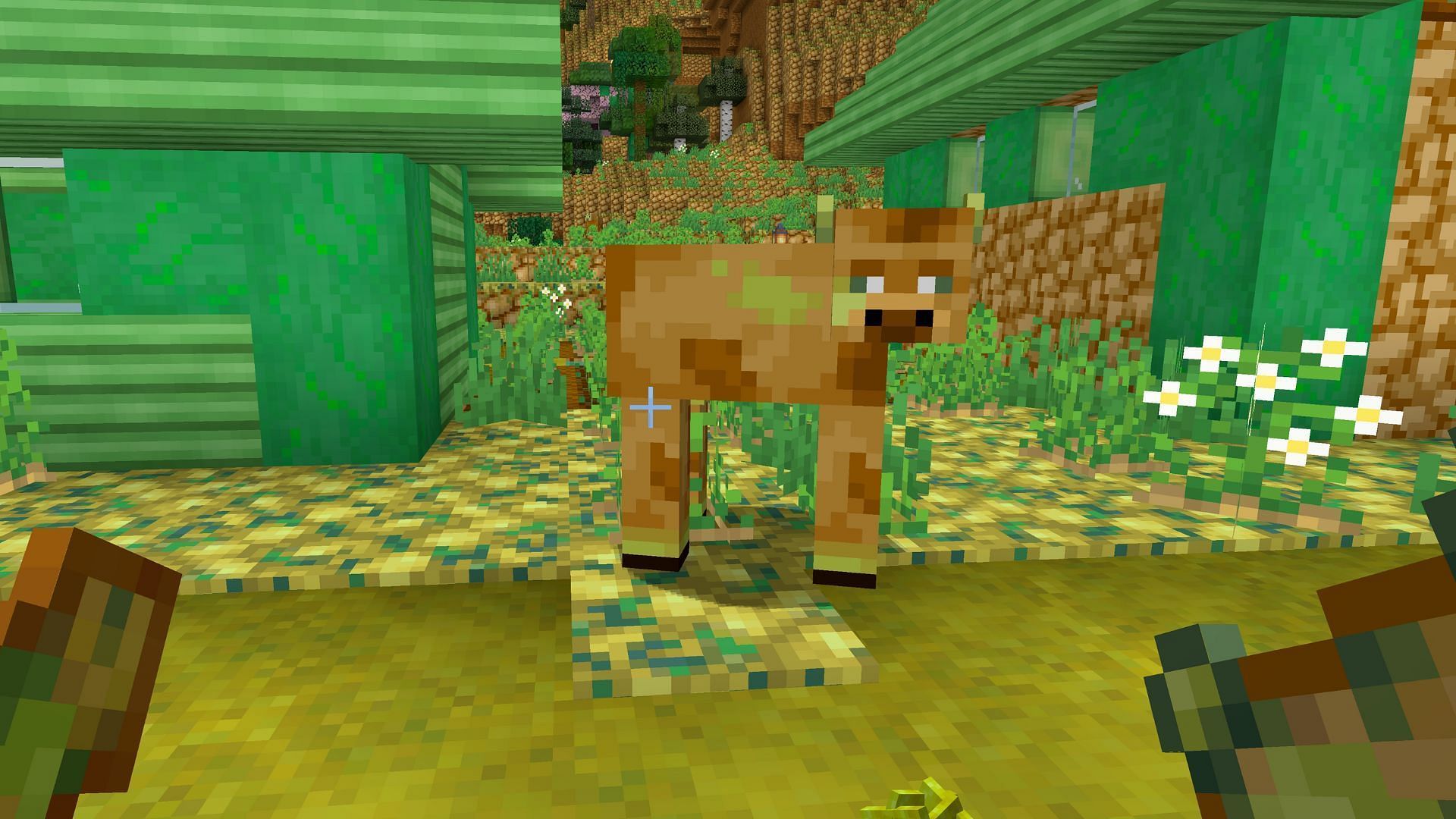Cow in Potato dimension (Image via Mojang Studios)