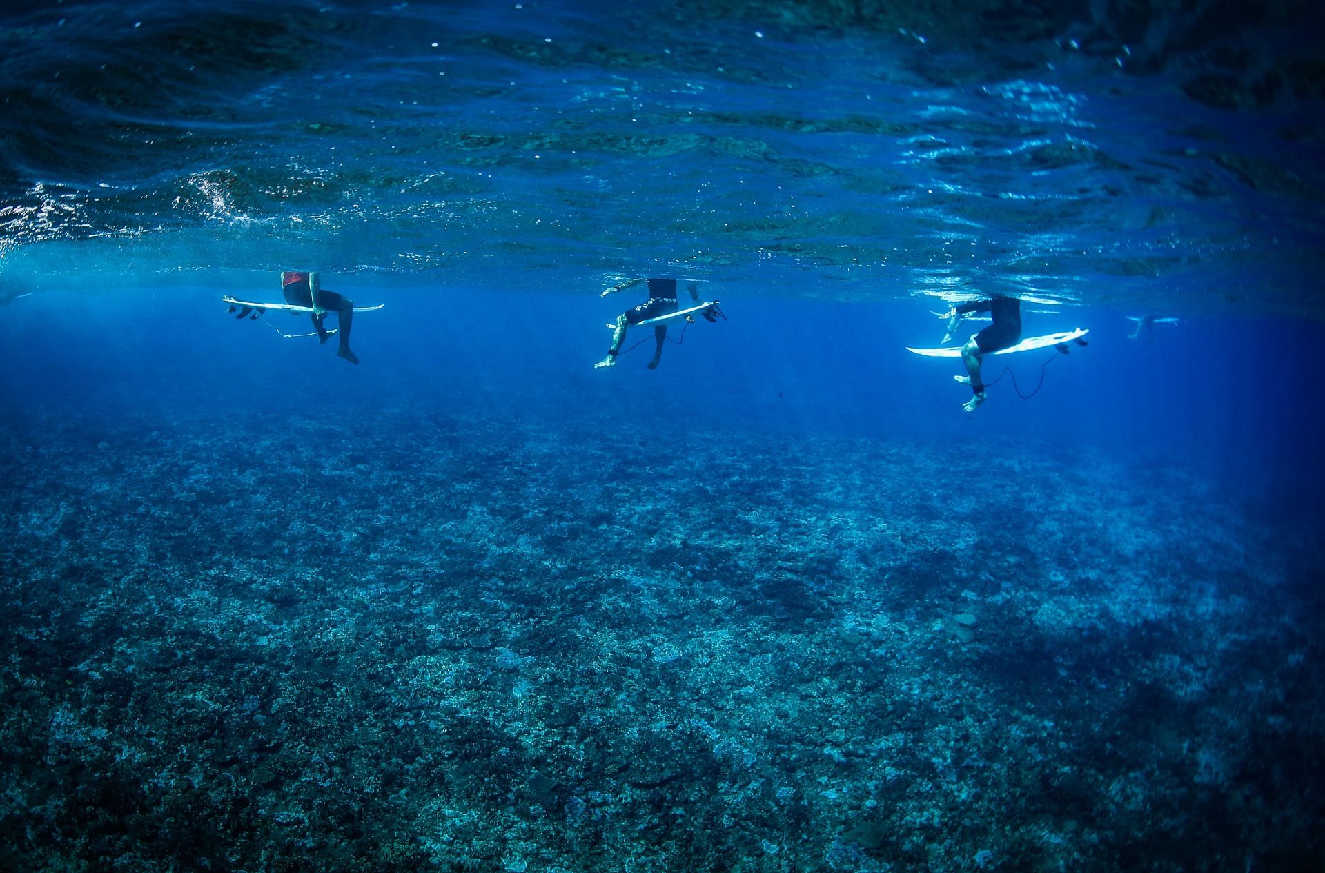 An underwater view of surfers floating on their boards above the coral reef during the 2023 Shiseido Tahiti (Image via Getty)