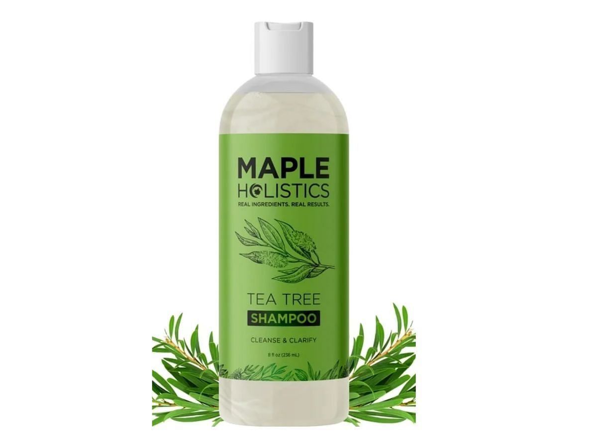 Maple holistic tea tree shampoo (Image via Walmart)