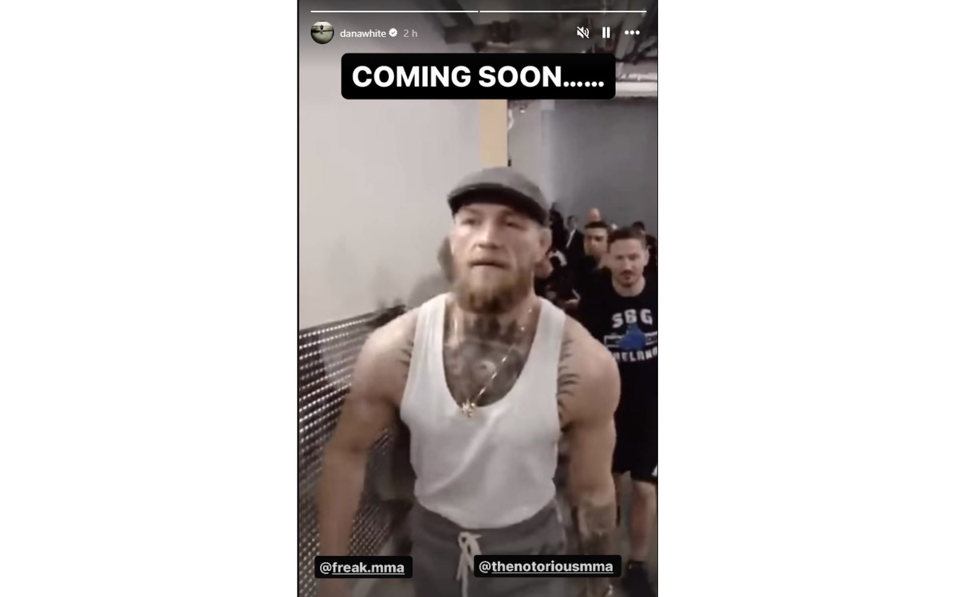 Dana White&#039;s Instagram story of Conor McGregor
