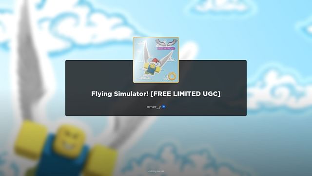 Flying Simulator Codes (2024)