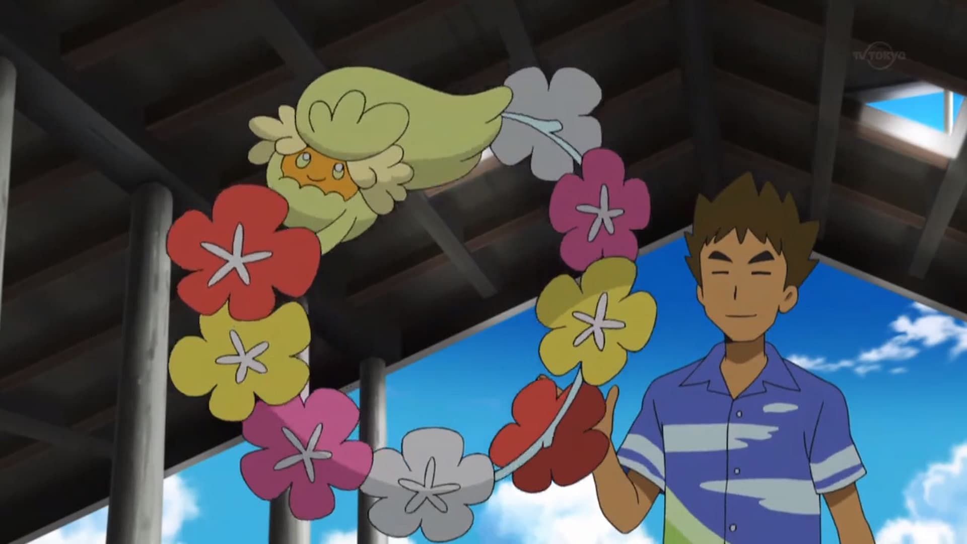 Brock&#039;s Comfey in the anime (Image via The Pokemon Company)