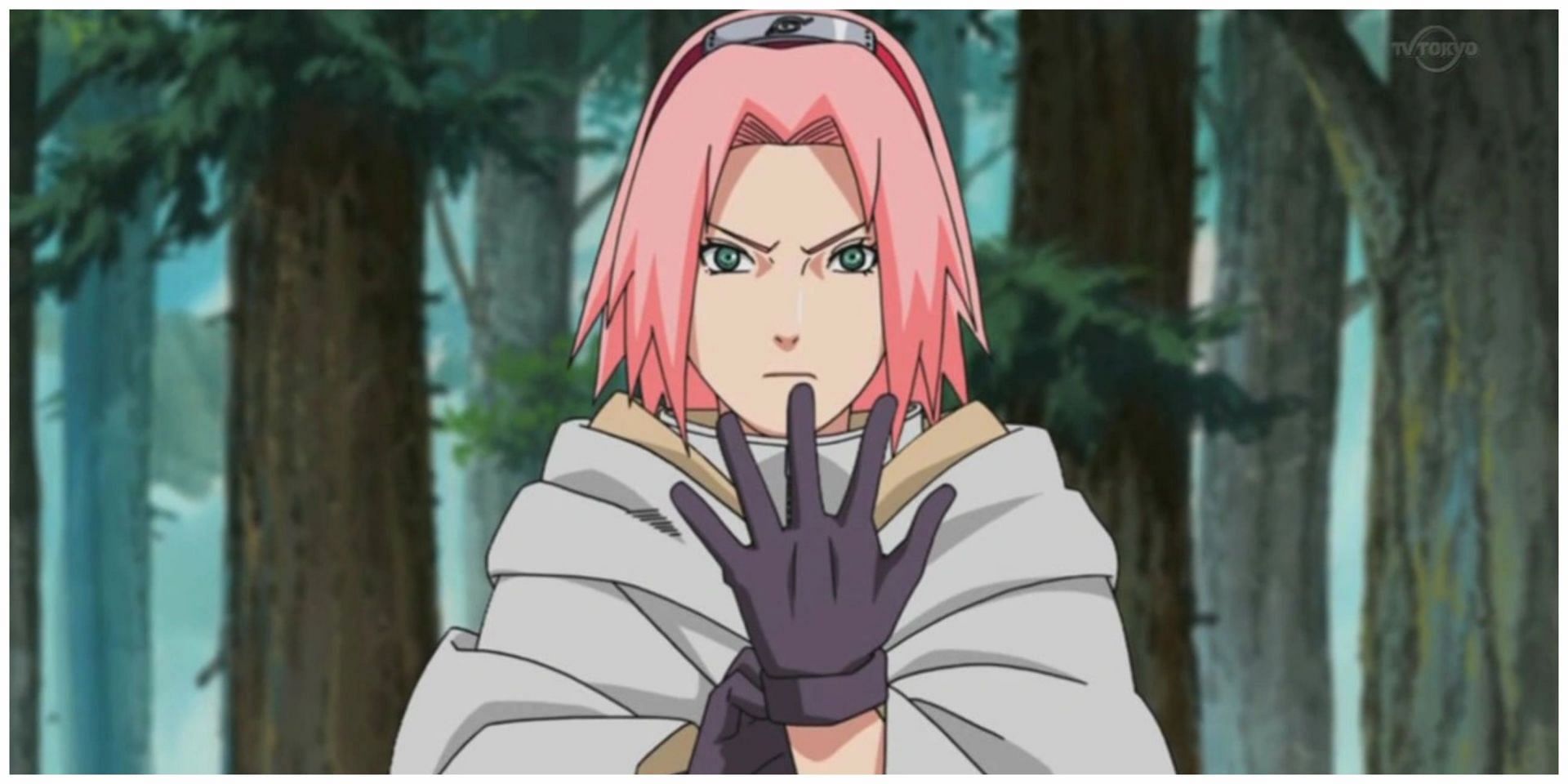 Sakura is a medical ninja trained under Tsunade (Image via Studio Pierrot)