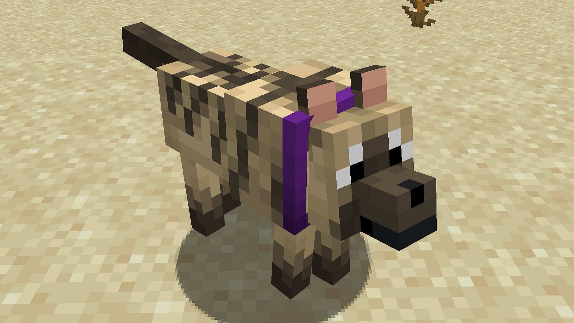 A tamed wolf with a dyed purple collar (Image via Mojang)