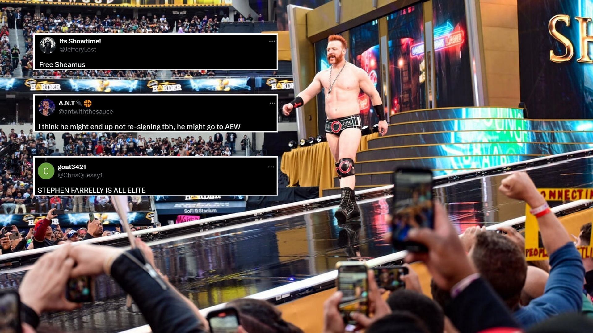 Sheamus is a multi-time world champion [Photo courtesy of WWE