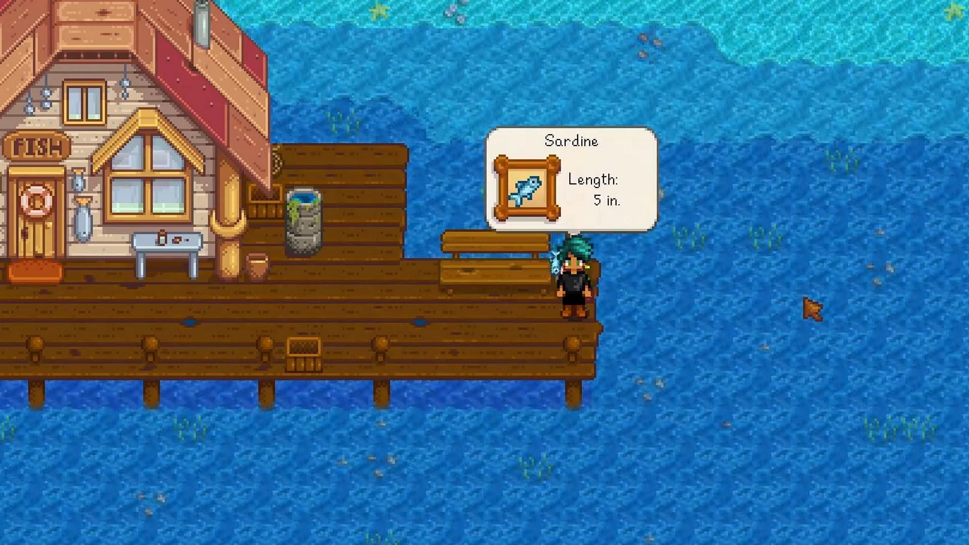 Make recipes using Sardine in Stardew Valley or sell them. (Image via ConcernedApe)