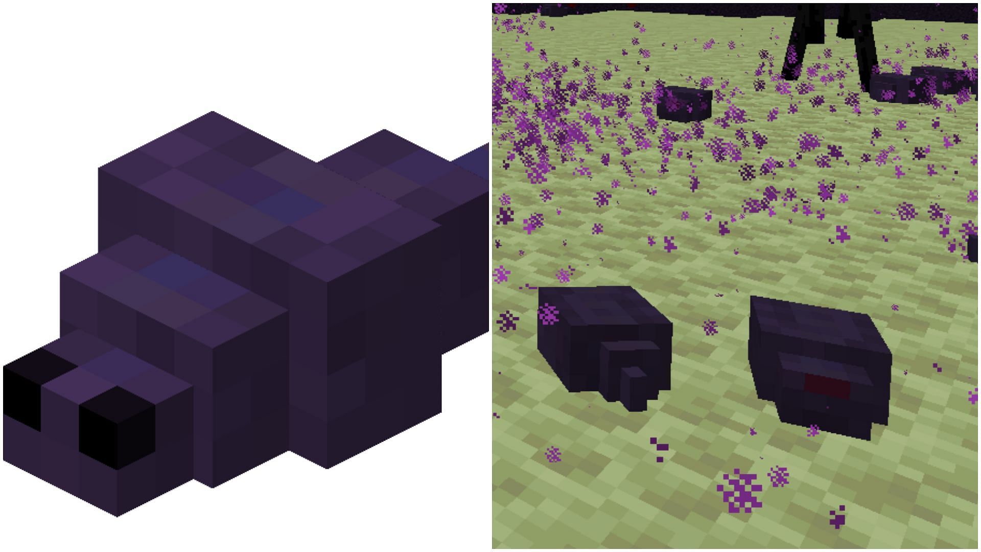 Endermite&#039;s entire texture and model was changed (Image via Mojang Studios)