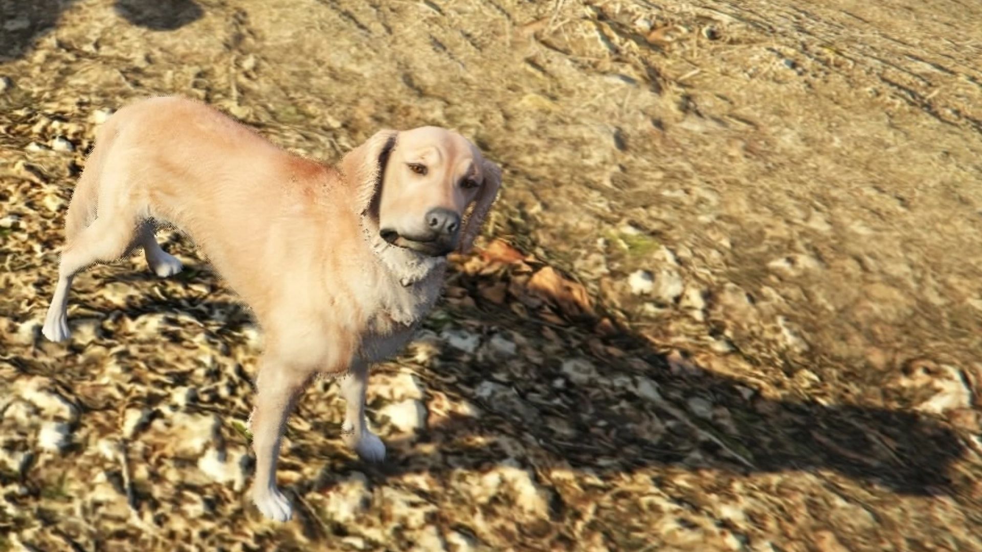 The ghost dog is both creepy and wholesome (Image via Rockstar Games || GTA Wiki)