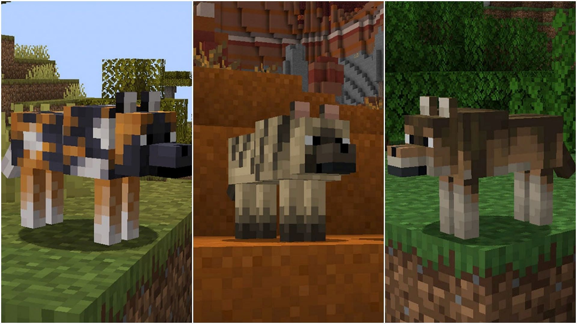 You need to find every nine wolf variant and tame them to unlock The Whole Pack advancement (Image via Mojang Studios)
