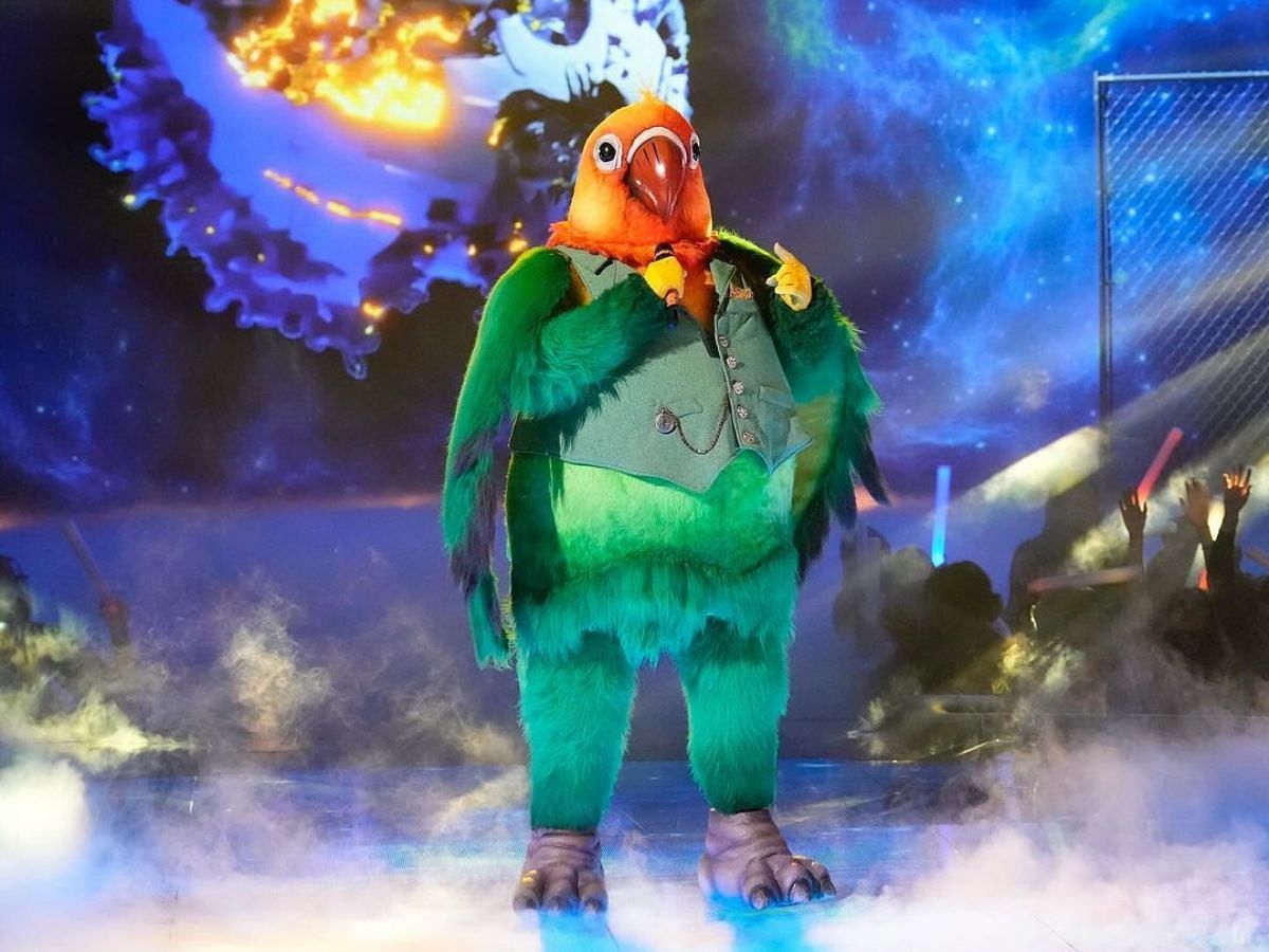 Lovebird was eliminated from The Masked Singer season 11 