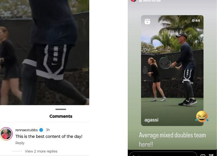 Rennae Stubbs comment and Instagram story