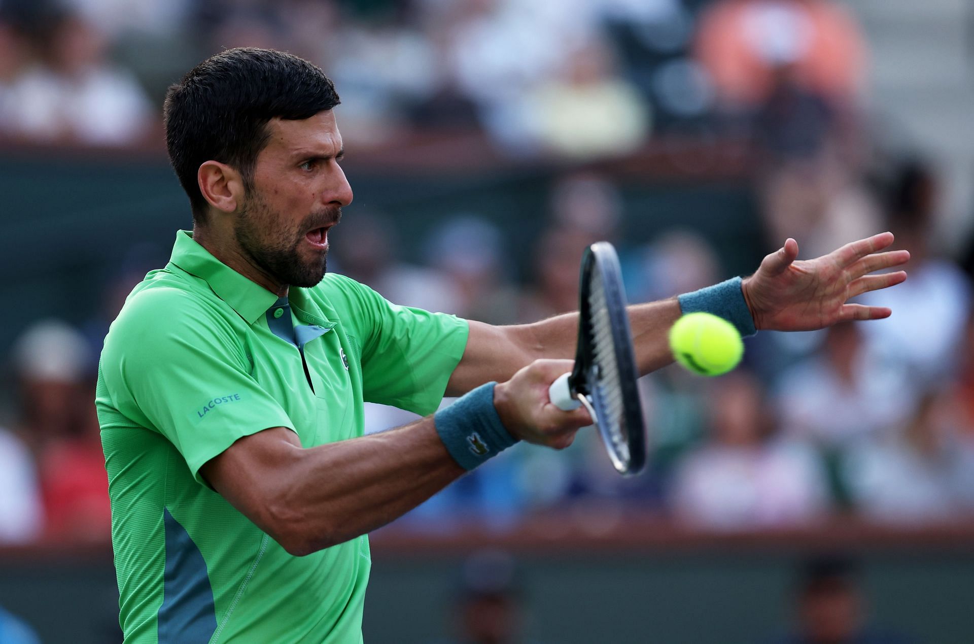 Novak Djokovic at the BNP Paribas Open at Indian Wells in 2024