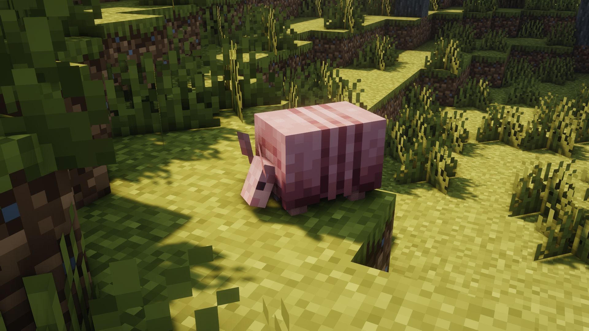 An armadillo in savanna biome (Image via Mojang)