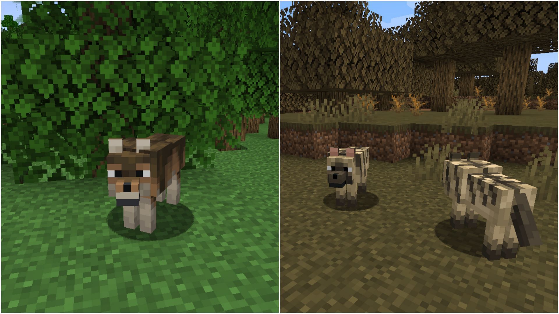 This seed is great for finding striped and woods wolves (Image via Mojang Studios)
