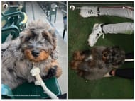 Chloé Holliday's IG Stories