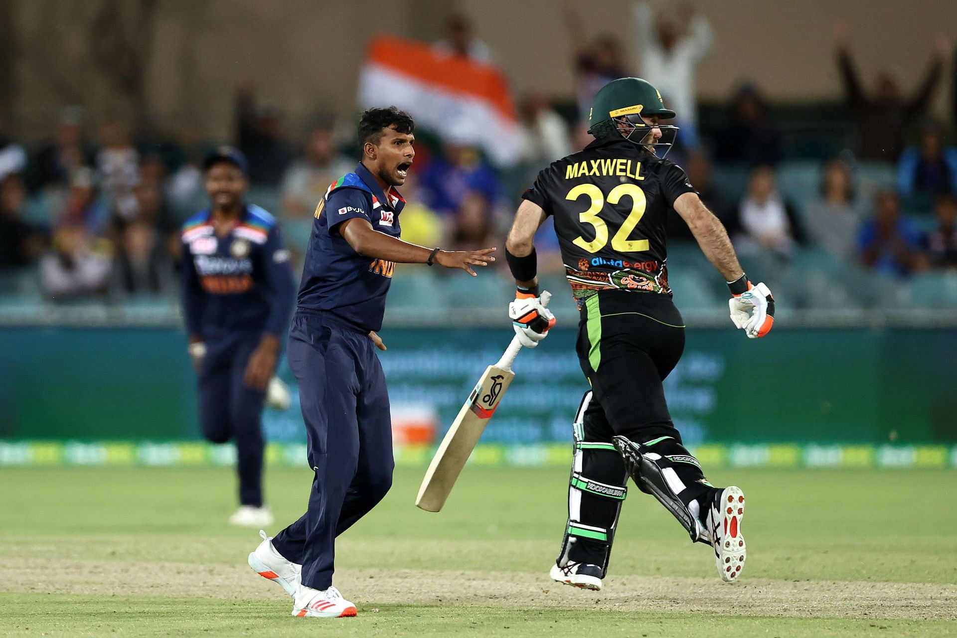 T Natarajan celebrates the wicket of Glenn Maxwell in his debut T20I. (Pic: BCCI/ iplt20.com)