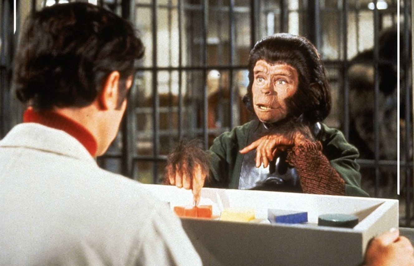 Still from &#039;Conquest of the Planet of the Apes&#039; (Image via Instagram/ @apesmovies)