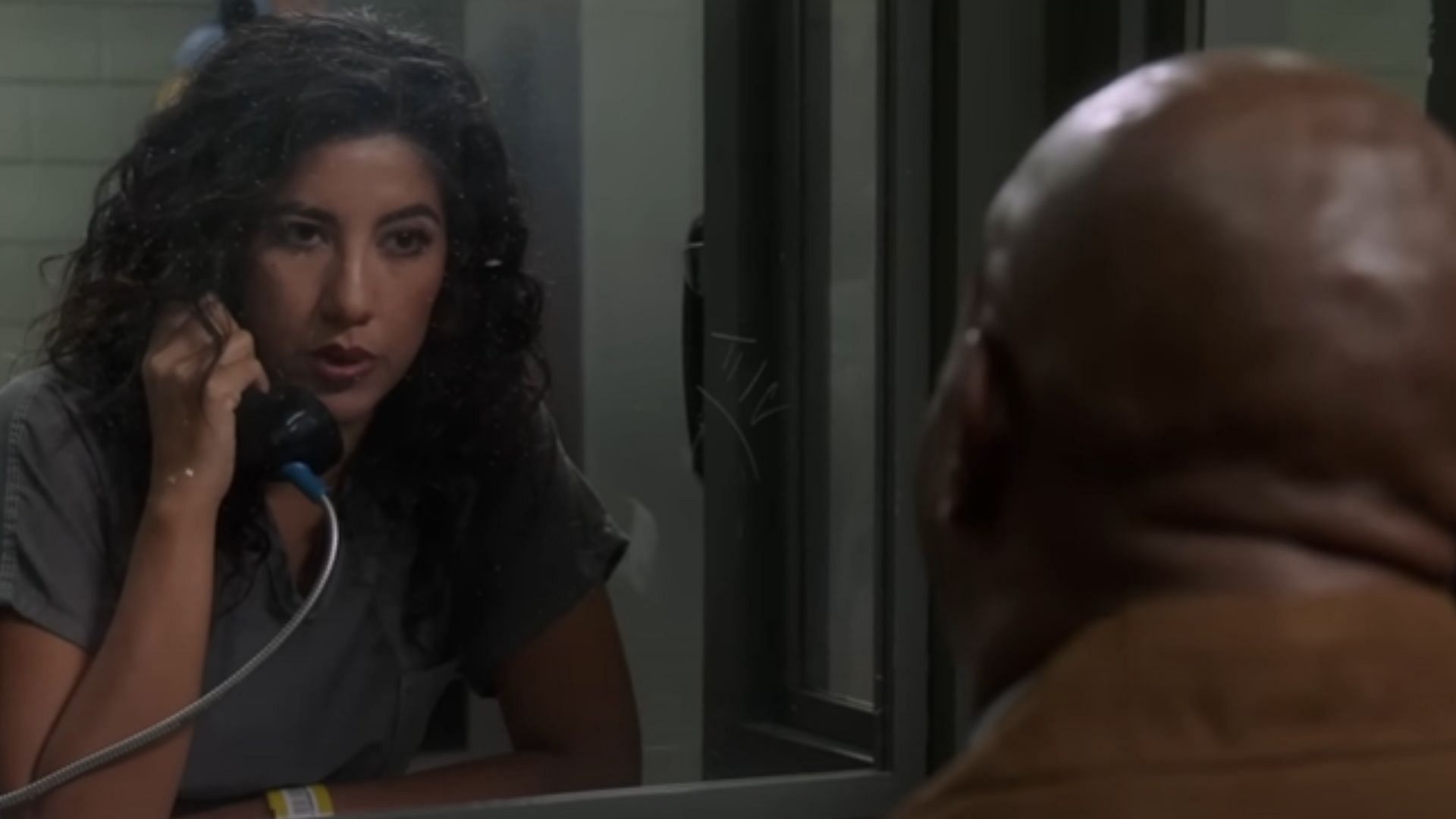 Rosa gets herself into prison (Image via YouTube/Brooklyn Nine-Nine)