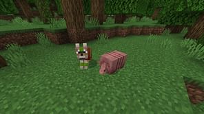 Minecraft Dog Update: All you need to know