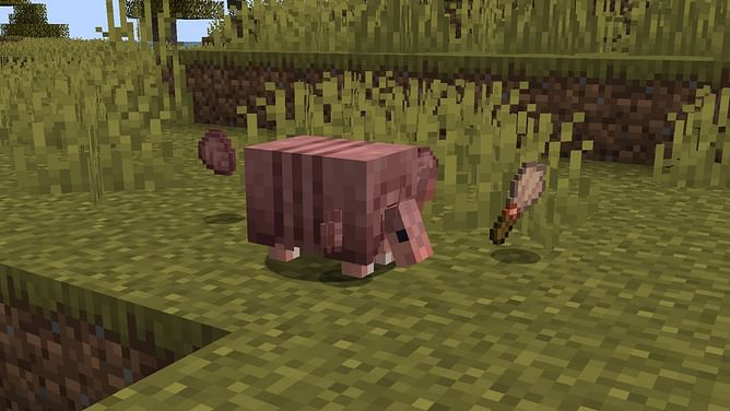 How to get Isn't it Scute? advancement in Minecraft