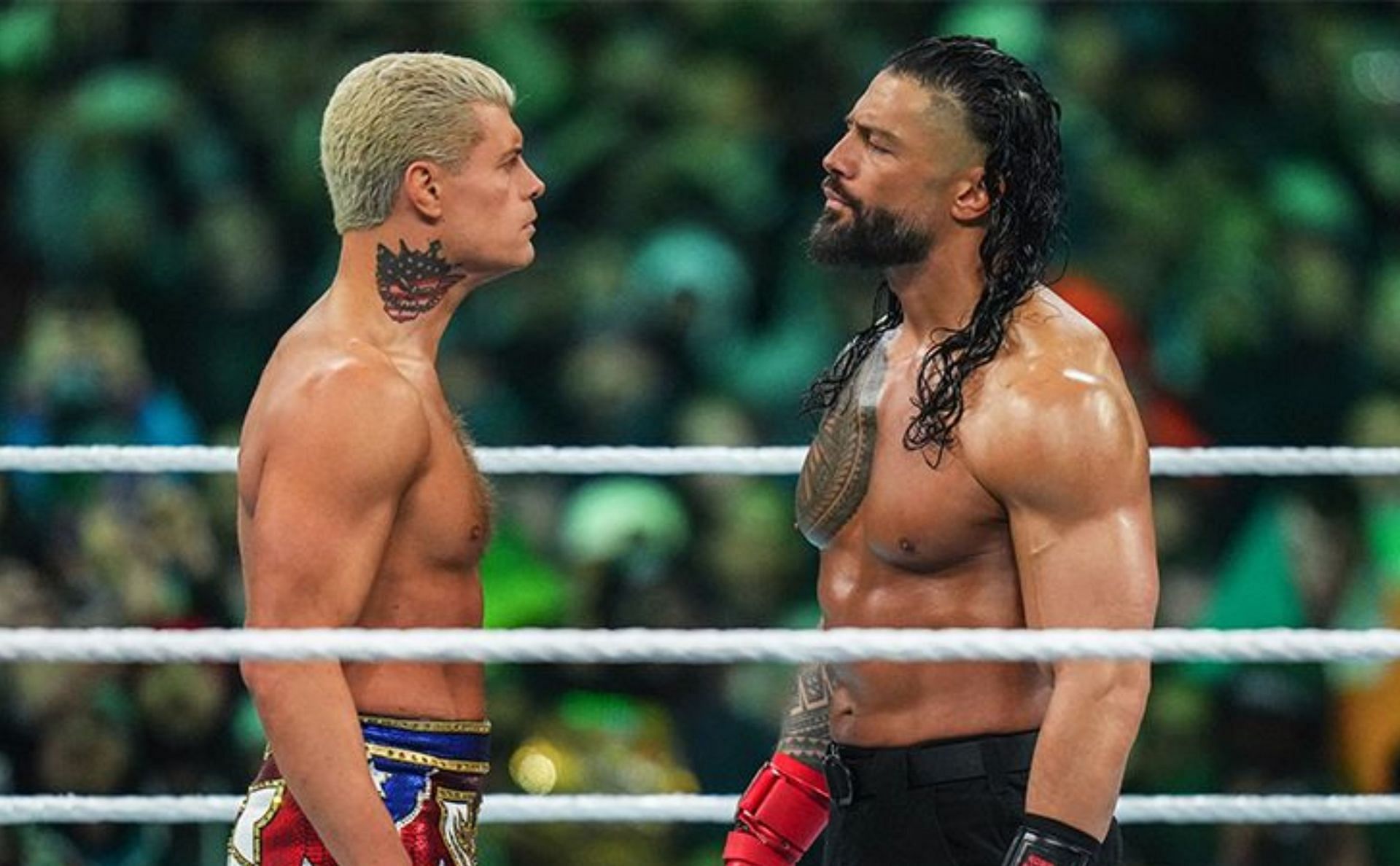 WWE में रोमन रेंस और कोडी रोड्स को फैंस काफी पसंद करते हैं 