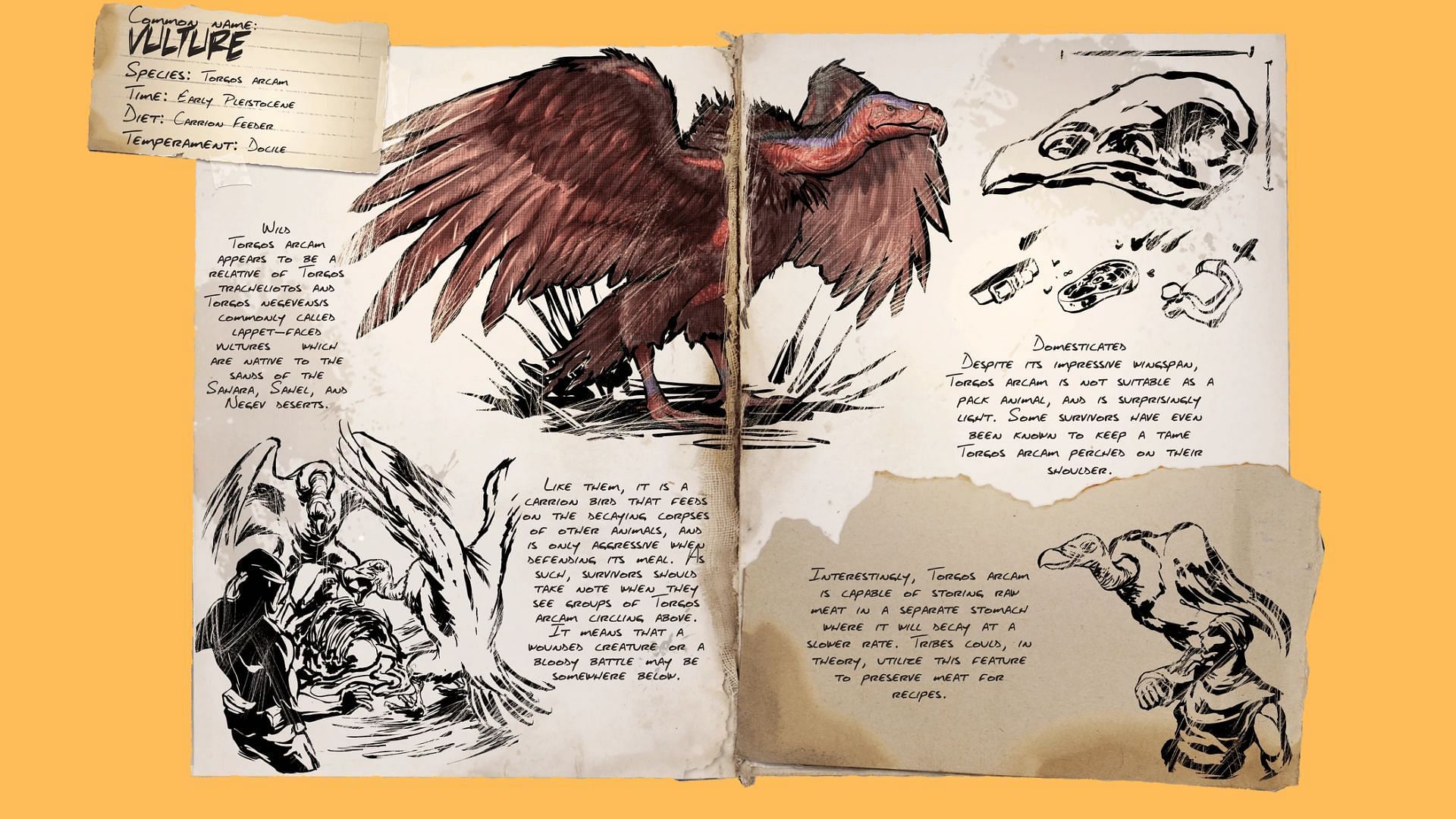 Fierce predators of the sky, Vultures in Ark Survival Ascended (Image via Studio Wildcard)