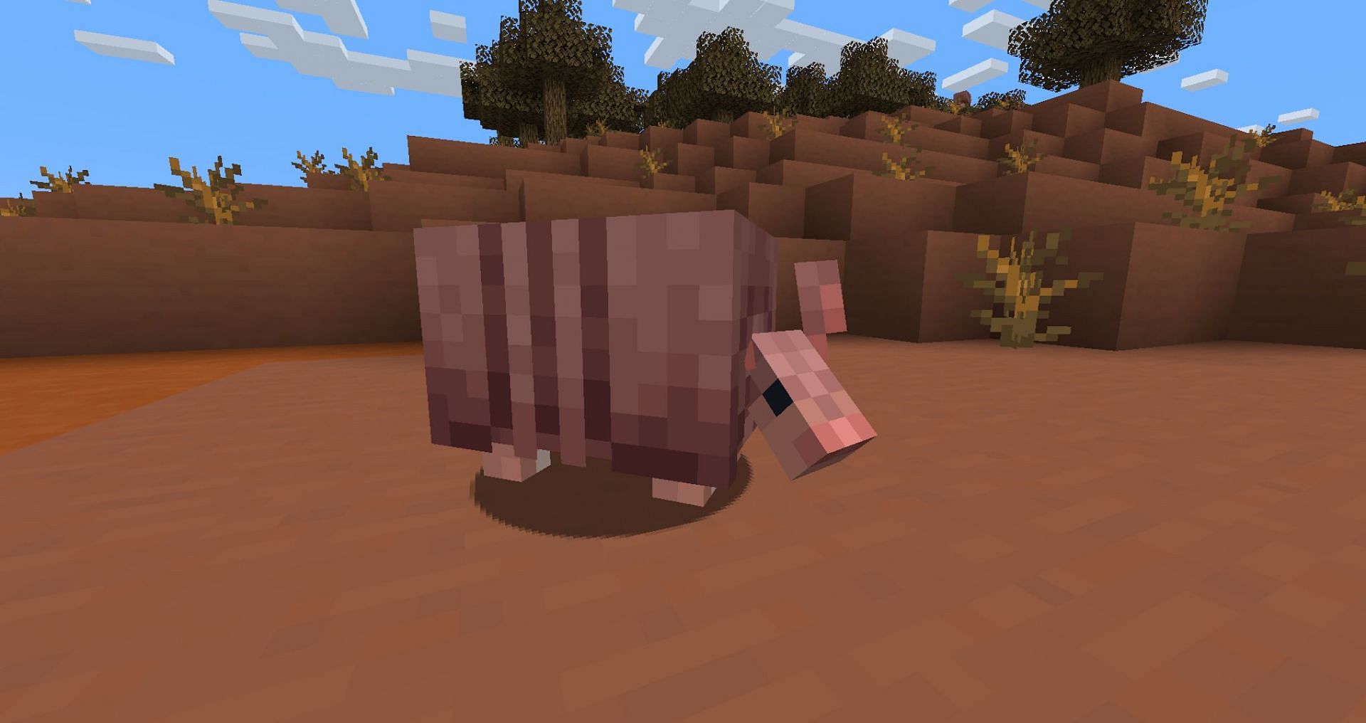 Finding armadillos should be easy due to their pink coloration (Image via Mojang)