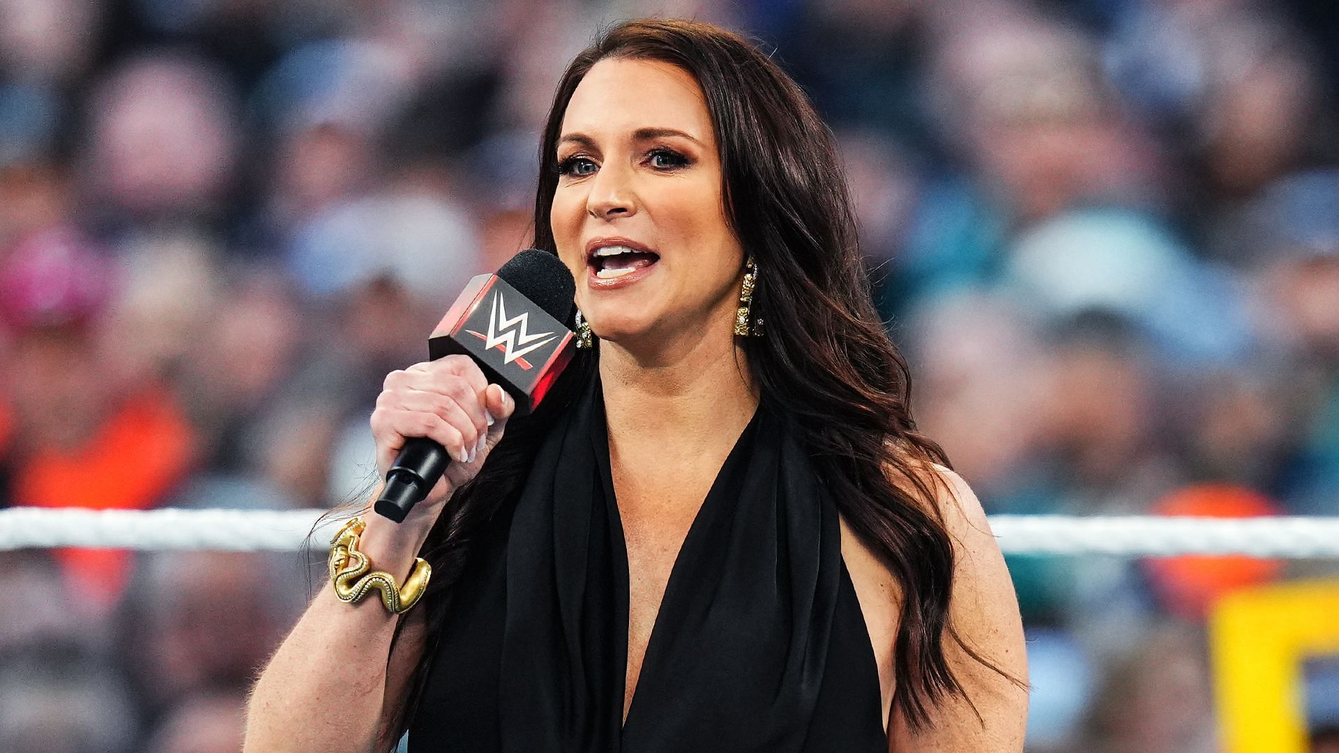 Stephanie McMahon appeared at WrestleMania 40.