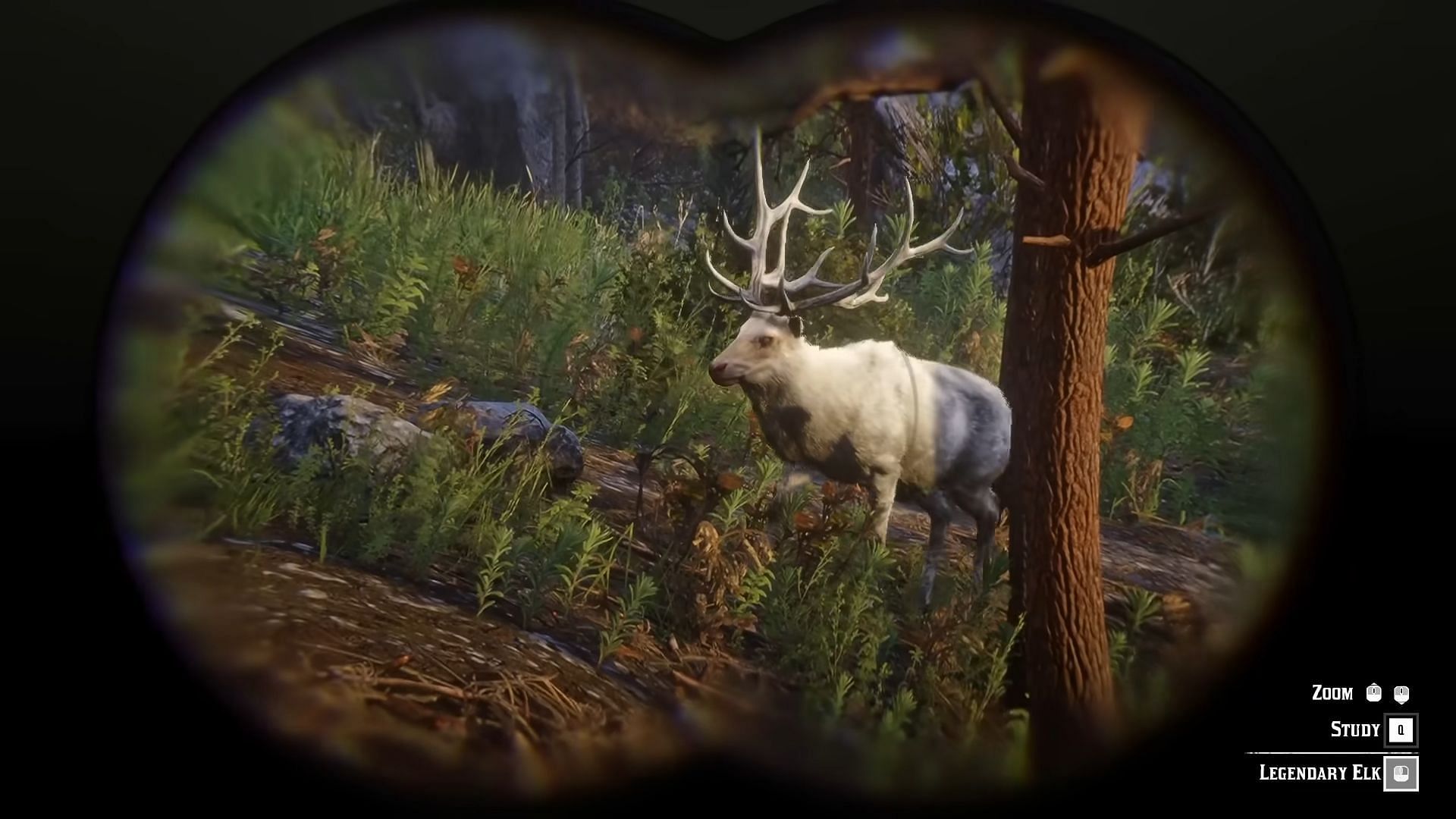 The Legendary Elk can be extremely hard to find (Image via Rockstar Games || YouTube/Reptac)