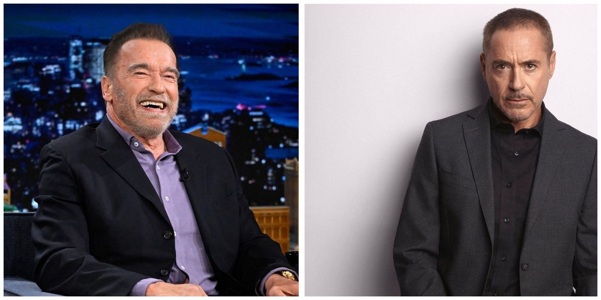Arnold Schwarzenegger and Robert Downey Jr. (Instagram/ @schwarzenegger, @robertdowneyjr)
