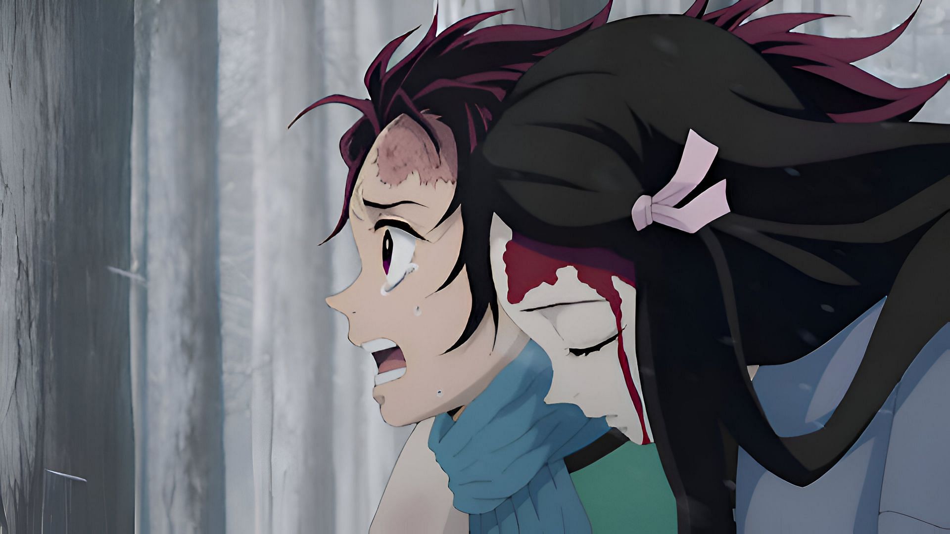 Tanjiro and Nezuko as seen in the anime (Image via Ufotable)