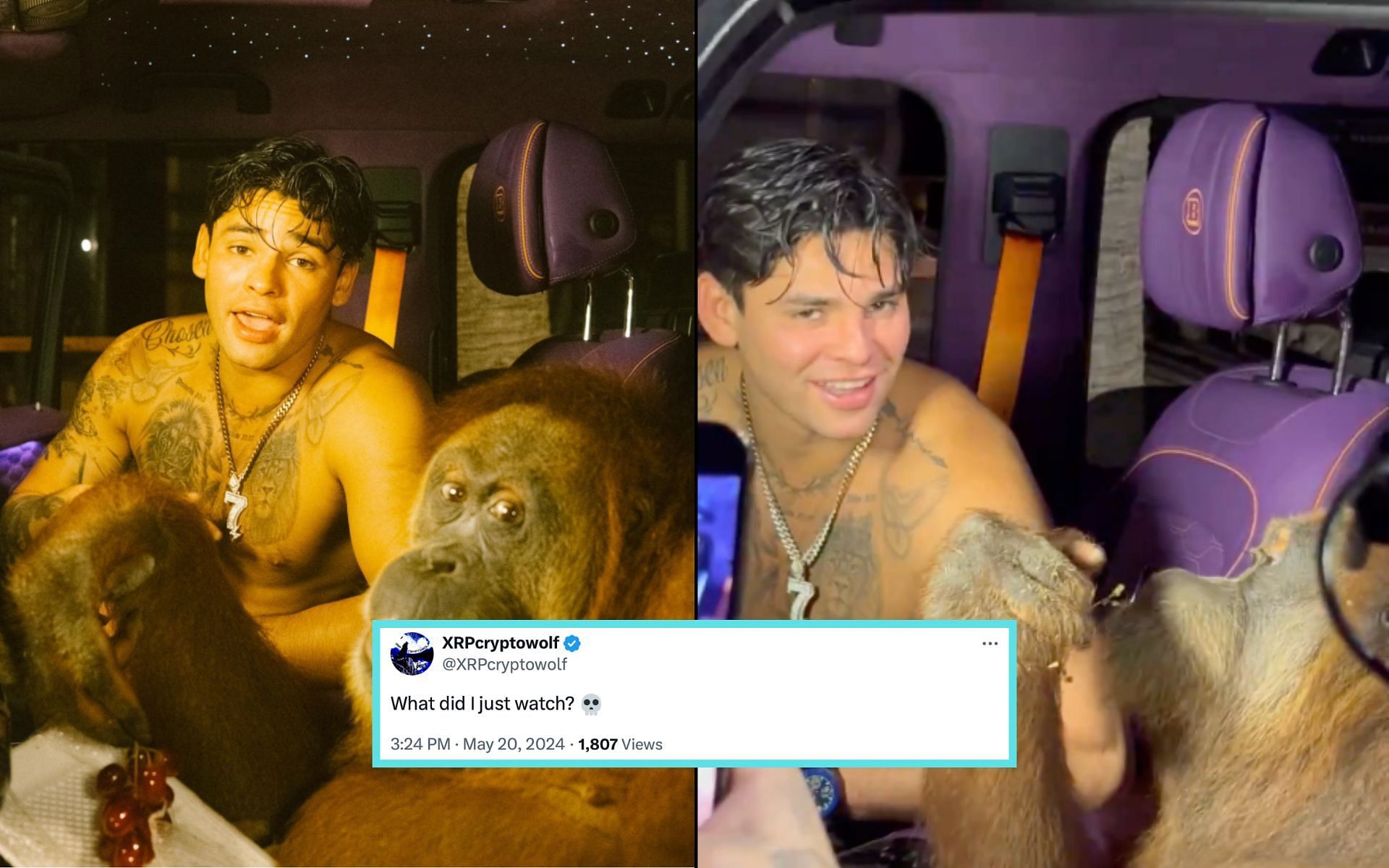 Ryan Garcia (left) posts a video rapping in a car with an Orangutan (right) behind the steering wheel [Photo Courtesy @ryangarcia on X]