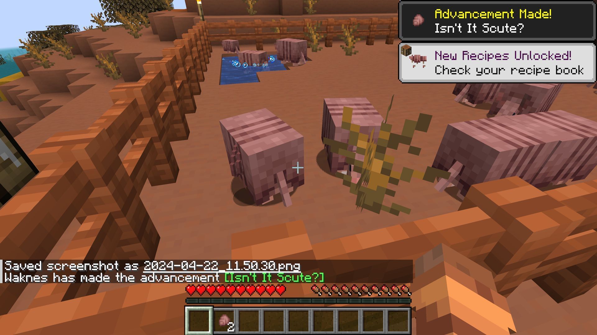 A player brushing scutes off of an armadillo (Image via Mojang)