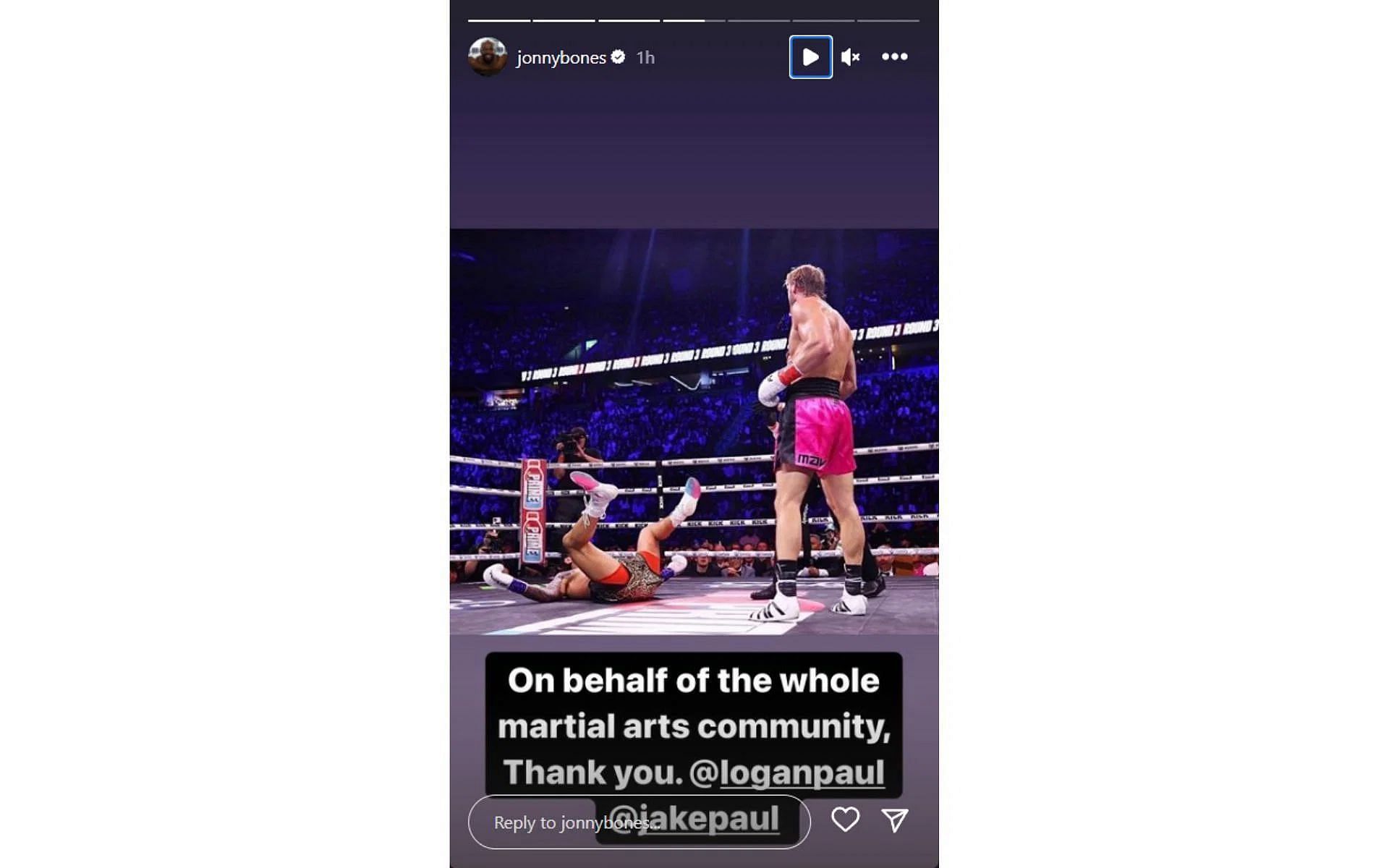 Jon Jones&#039; Instagram story addressing Logan Paul after his win over Dillon Danis in 2023. [via Instagram @jonnybones]