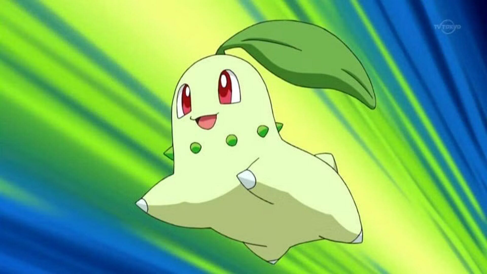 Chikorita as seen in the anime (Image via TPC)