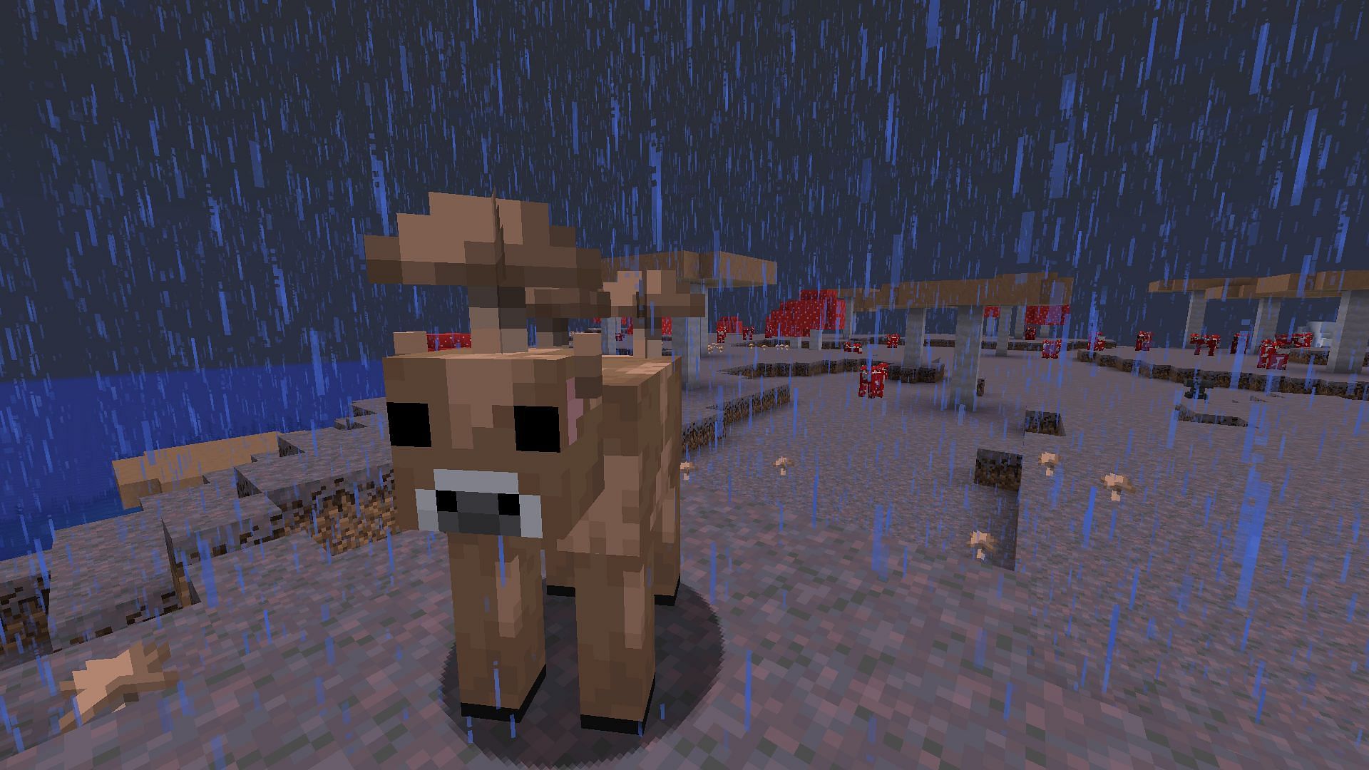 Brown mooshroom can only spawn when lightning strikes a red mooshroom (Image via Mojang Studios)