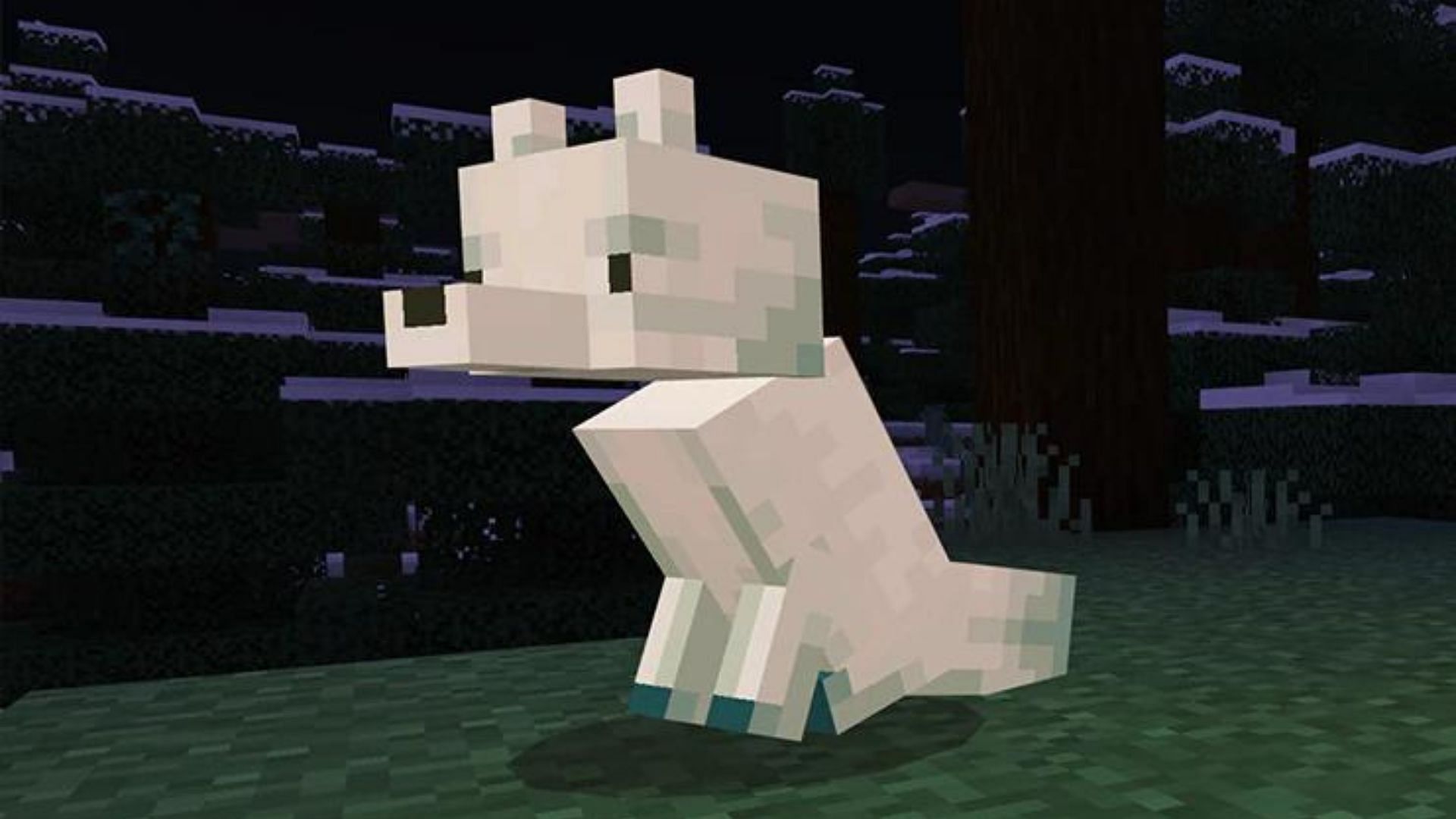 As wolves get new variants, Minecraft want to take a look at introducing new foxes as properly