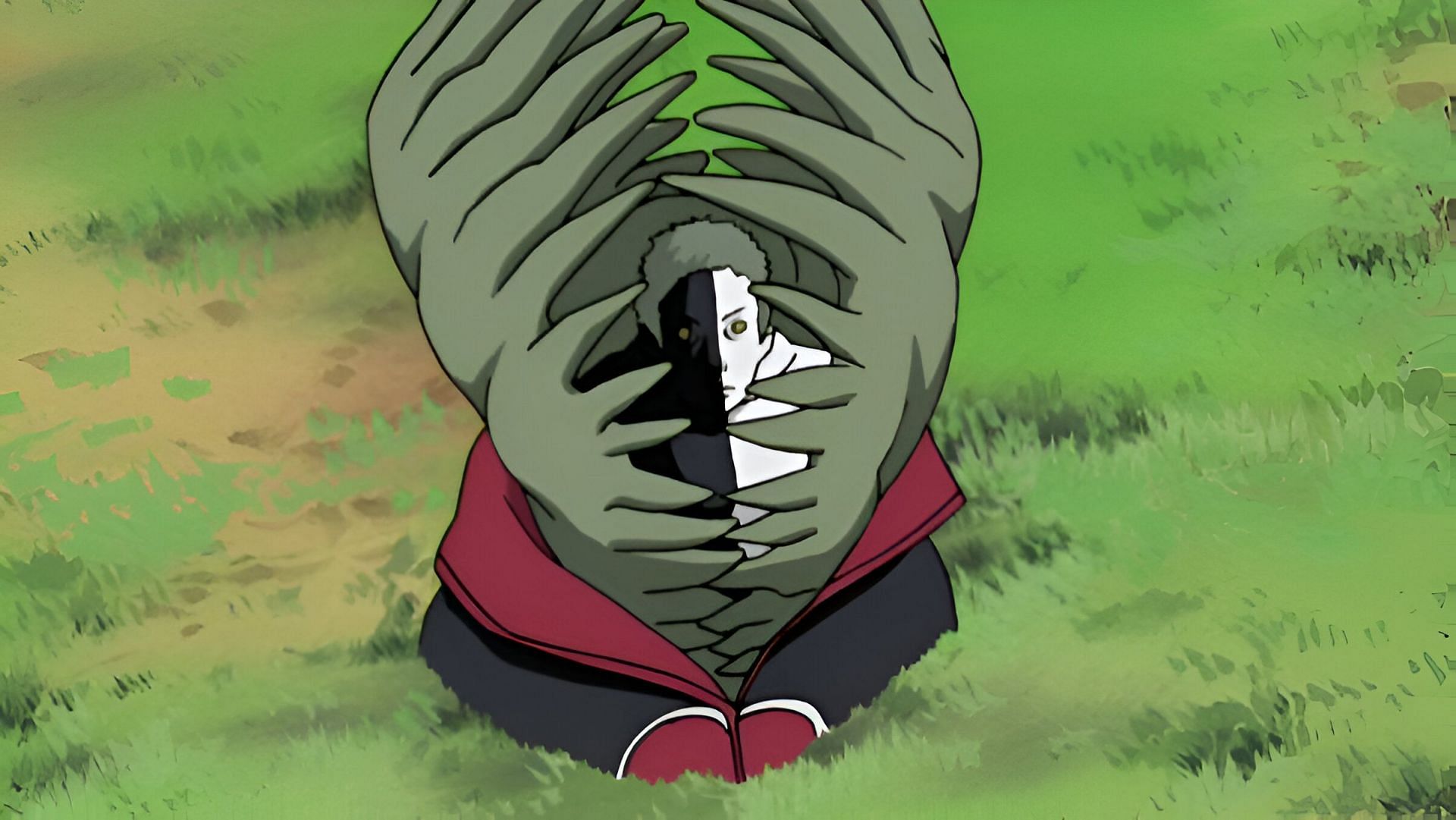 Zetsu as seen in the anime (Image via Studio Pierrot)