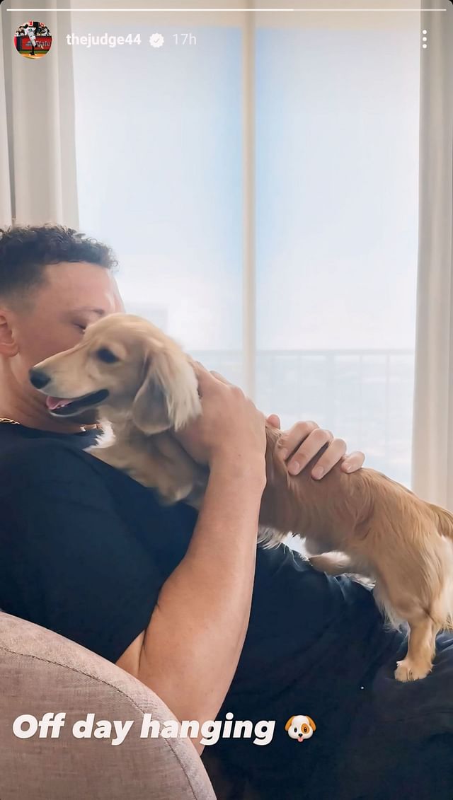 PHOTO: Devoted dog dad Aaron Judge's off day includes cuddling with ...