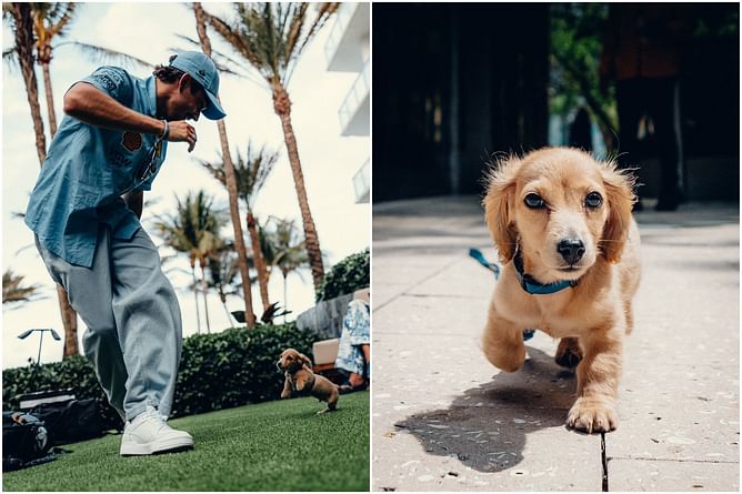 "Is Charles Leclerc trying to compete with Lewis over Roscoe?" - F1 fans react to Ferrari star’s pet in the Miami GP paddock