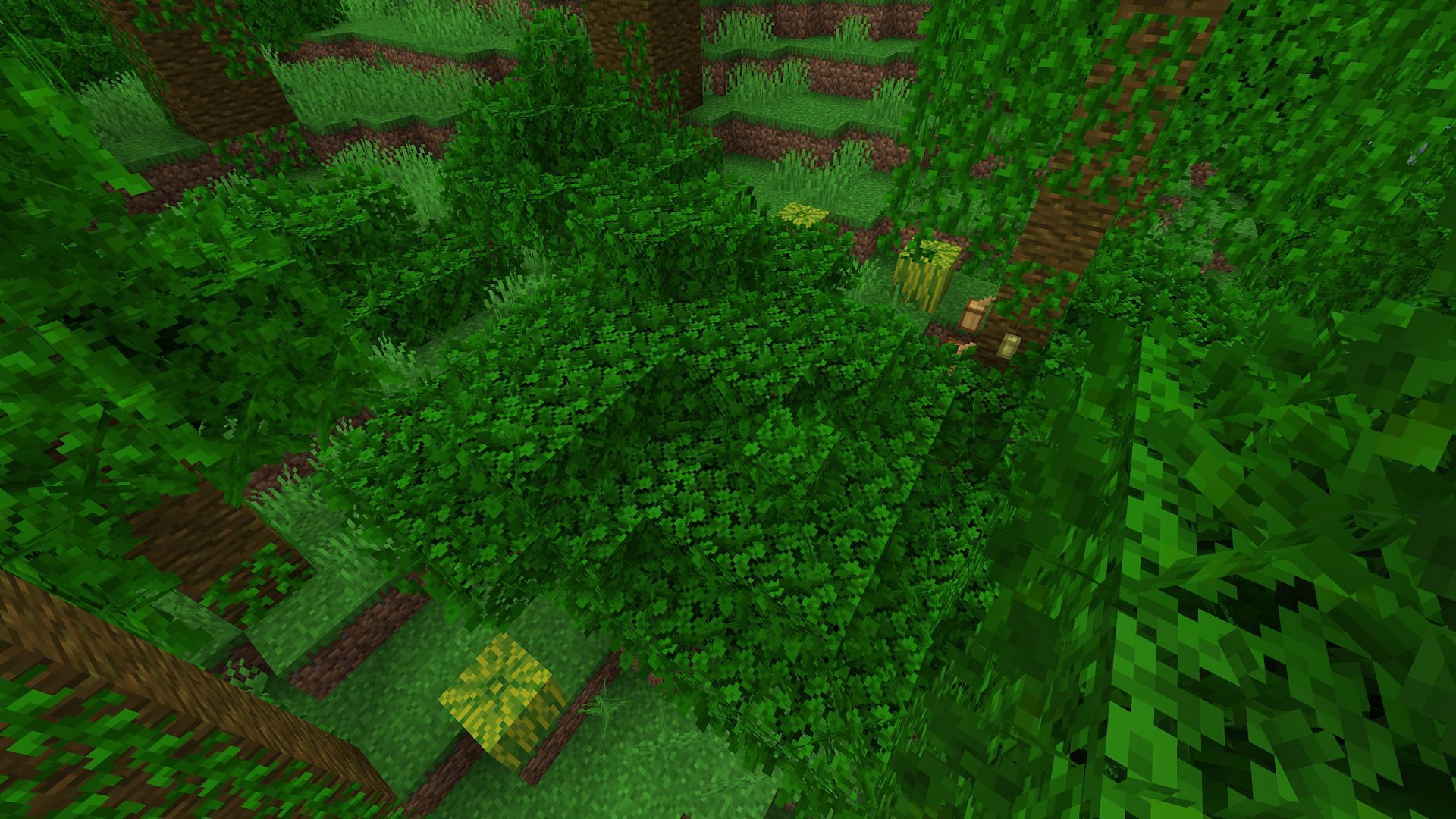 Naturally generated melon blocks in a jungle biome. (Image via Mojang)