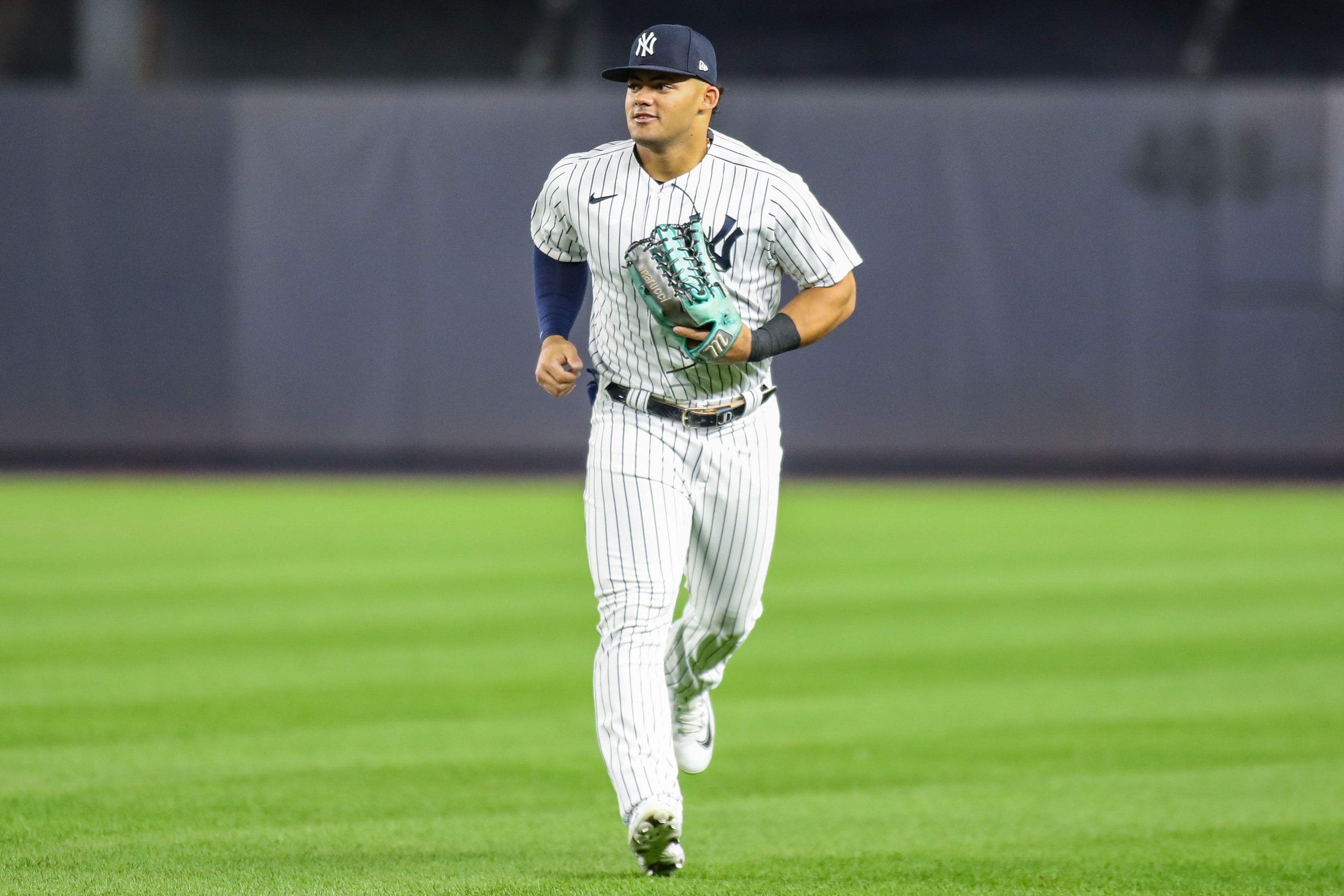 New York Yankees - Jasson Dominguez (Image via USA Today)
