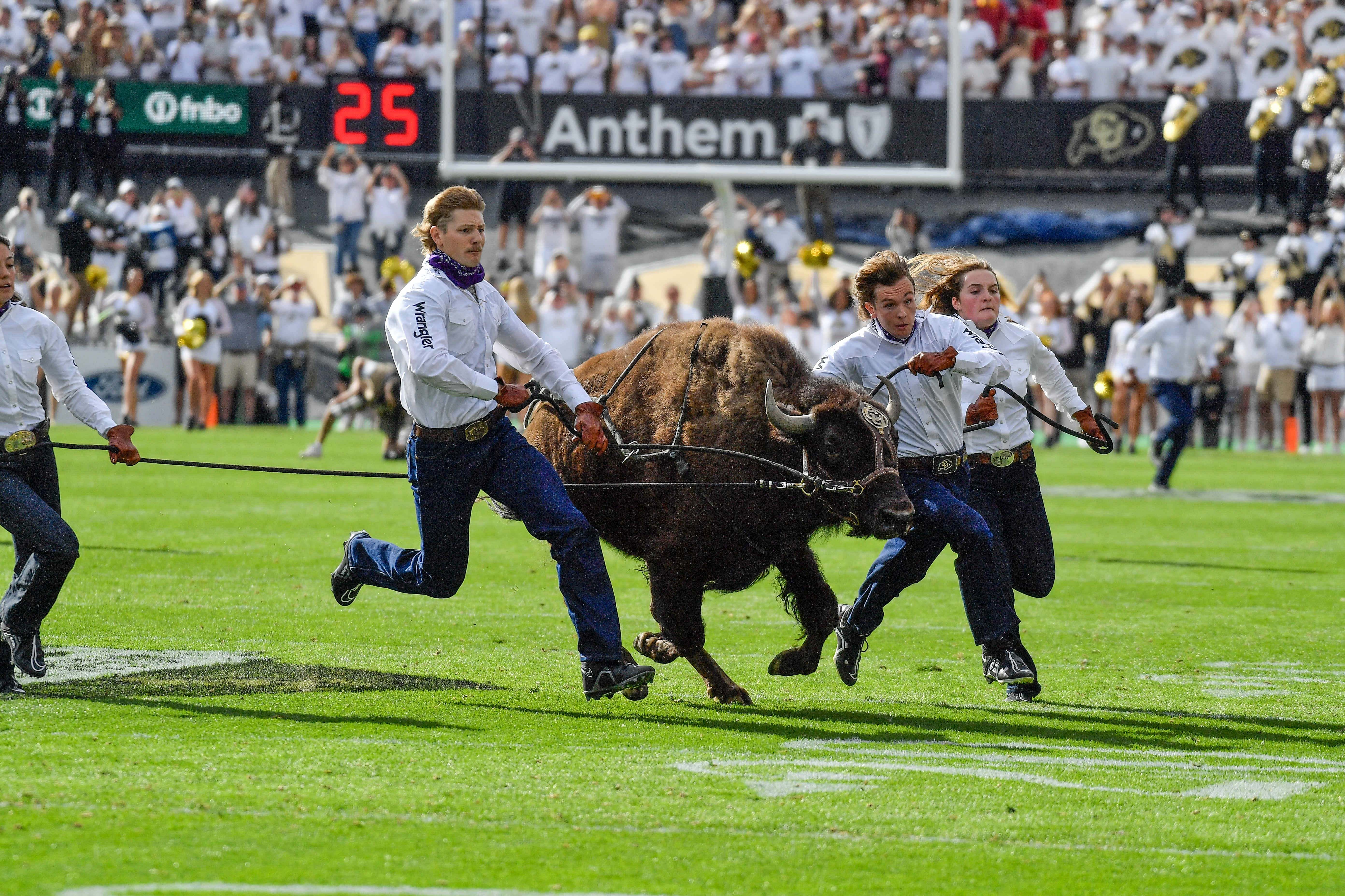 NCAA Football: Southern California at Colorado