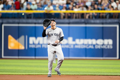 New York Yankees - Anthony Rizzo (Image via USA Today)