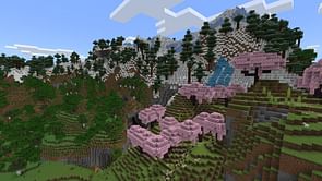 "This is why you just lie about the age": Buying Minecraft for kids becoming a frustrating experience