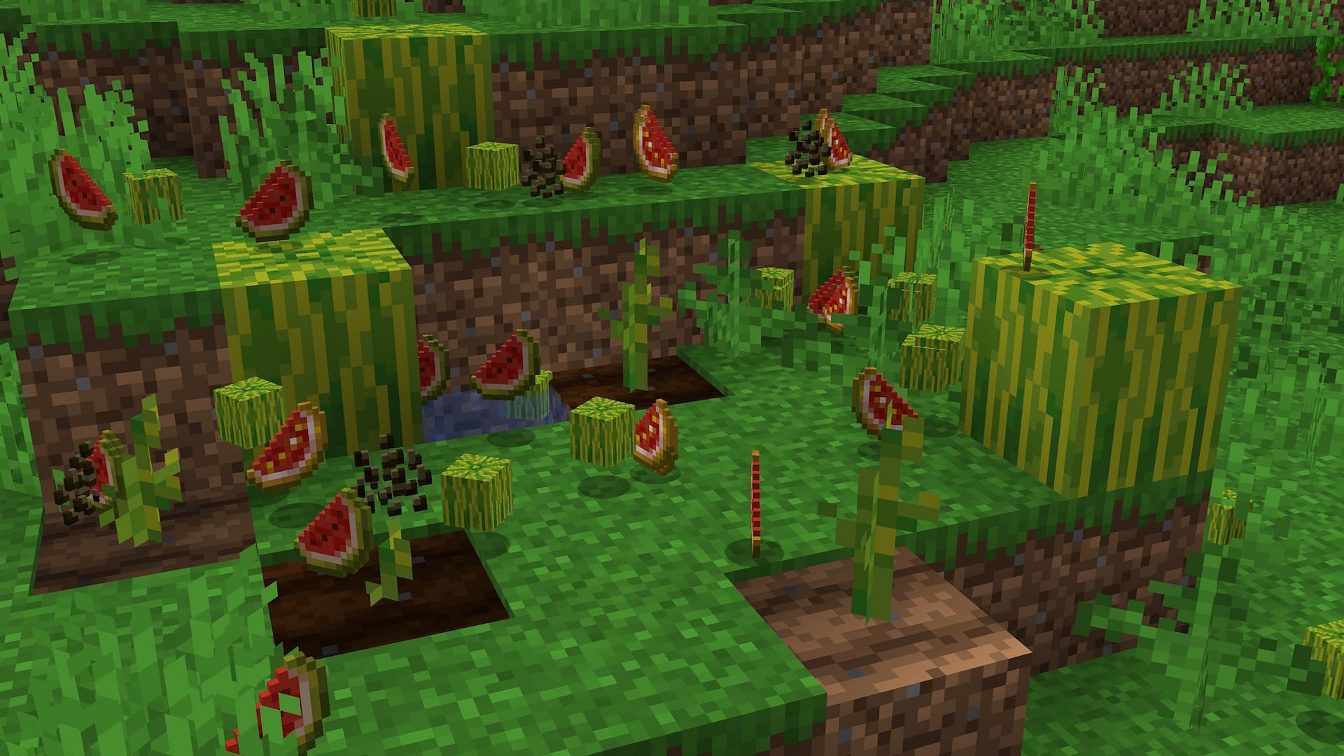 Melons are surprisingly useful items, making melon seeds worth hunting for (Image via Mojang)