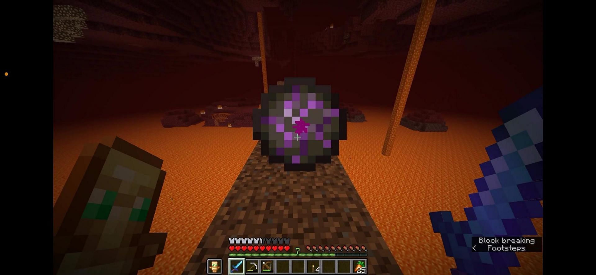 The screenshot shared by r/ballandoats23 (Image via Mojang)