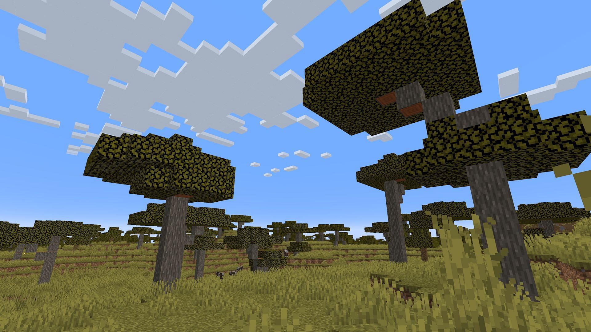 What trees look like with &quot;Fast&quot; graphics enabled (Image via Mojang)